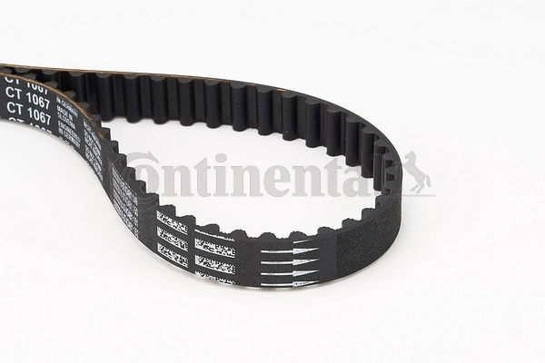 Timing Belt
